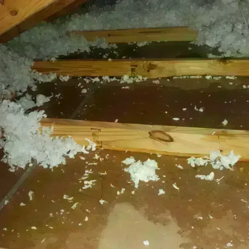 Attic Water Damage in De Forest, WI