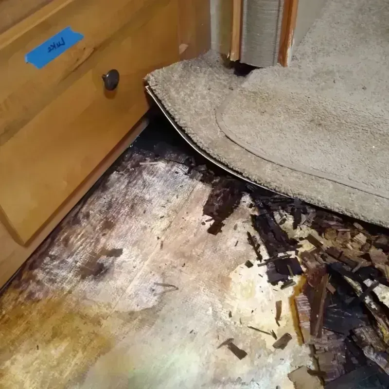 Wood Floor Water Damage in De Forest, WI